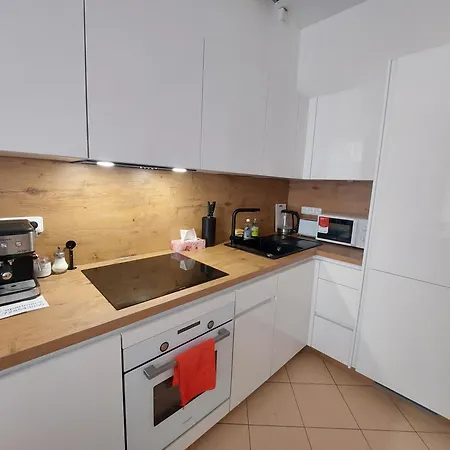 Prostorny V Centru 3 Kk 80 M2 Apartment
